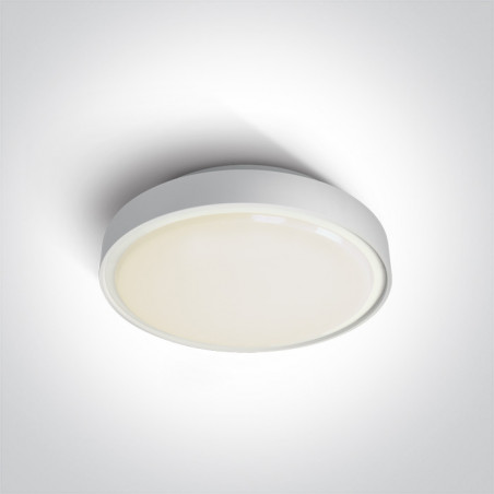 67280AN/W/C biały plafon LED 4000K 24W IP65 nieściemnialny zasilacz LED w zestawie 
