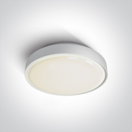 67280BN/W/W biały plafon LED 3000K 30W IP65 nieściemnialny zasilacz LED w zestawie 