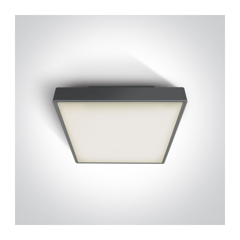 67282AN/AN/W plafon w kolorze antracyt LED 3000K 24W IP65 nieściemnialny zasilacz LED w zestawie 