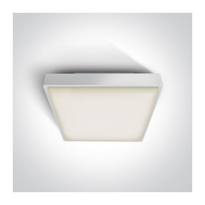 67282BN/W/W biały plafon LED 3000K 30W IP65 nieściemnialny zasilacz LED w zestawie 