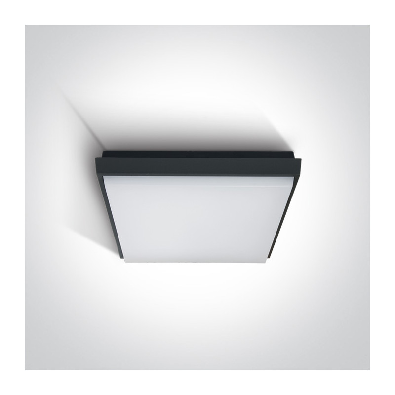 67362A/AN/W plafon w kolorze antracyt LED 3000K 20W IP54 nieściemnialny zasilacz LED w zestawie