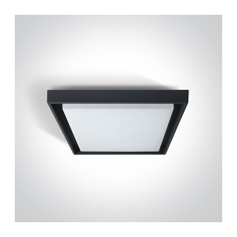 67384A/AN/W plafon w kolorze antracyt LED 3000K 30W IP54 nieściemnialny zasilacz LED w zestawie