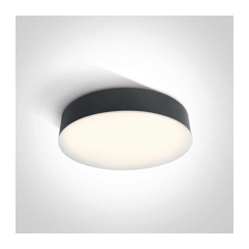 67390/AN/C plafon w kolorze antracyt LED 4000K 21W IP65 nieściemnialny zasilacz LED w zestawie