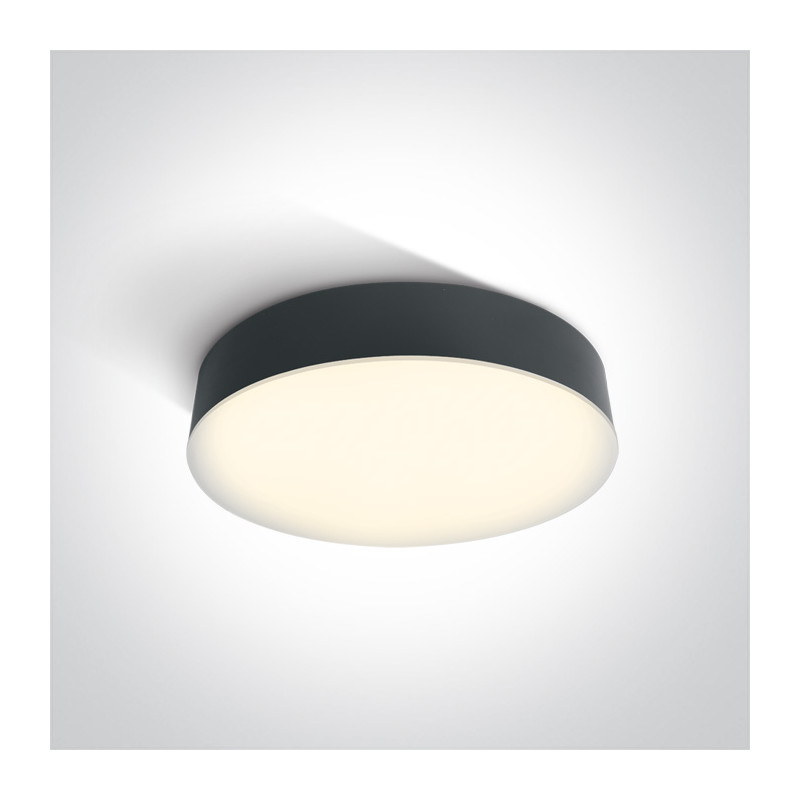 67390/AN/W plafon w kolorze antracyt LED 3000K 21W IP65 nieściemnialny zasilacz LED w zestawie